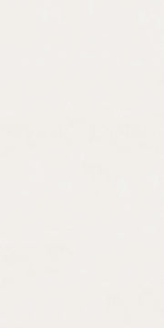 Leafy Matte Floor tile 450X900X9mm
