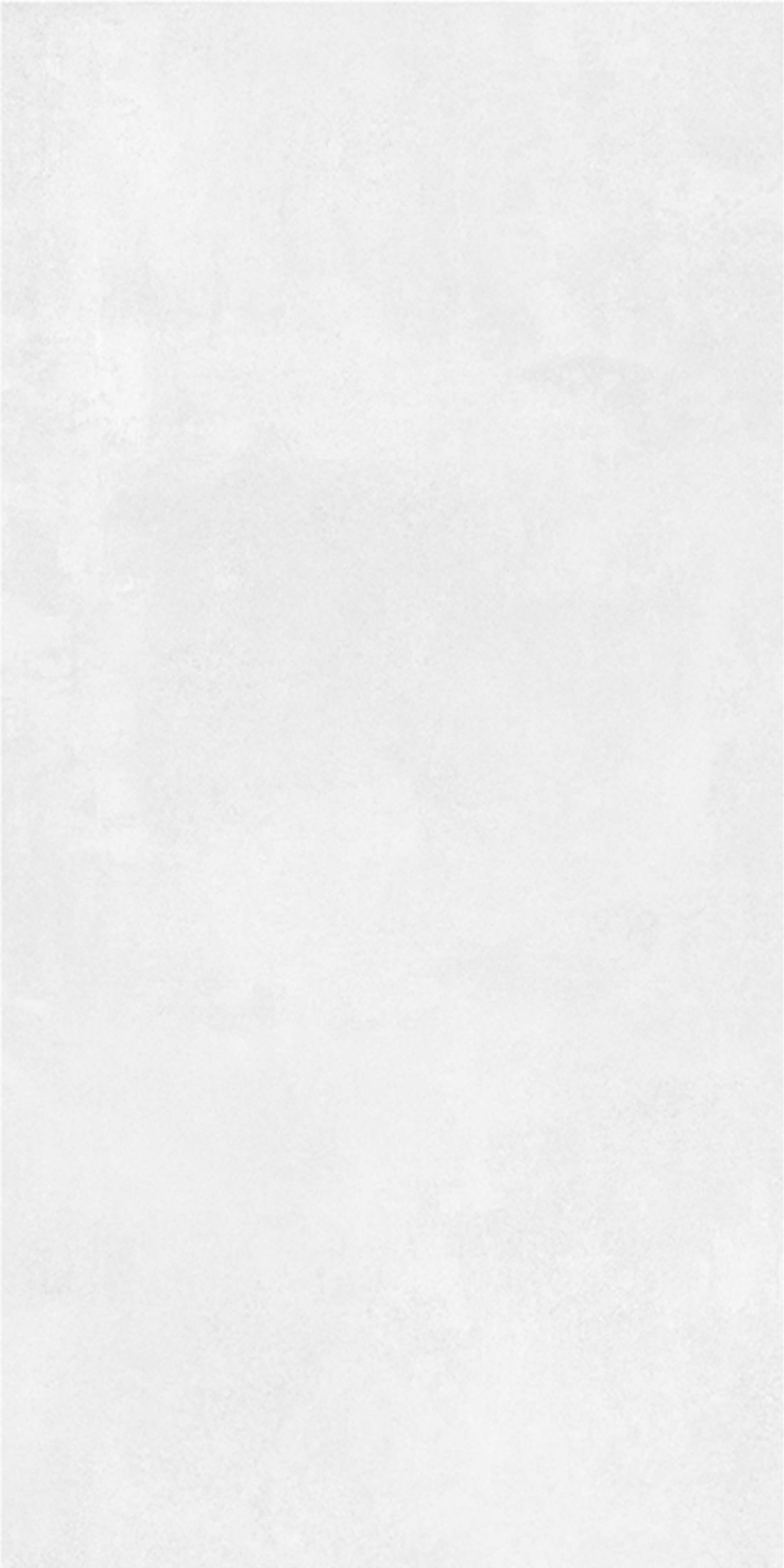 Leafscape Matte Floor tile 600X1200X9.8mm