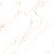 Venus Polished Floor tile 800X800X10.5mm